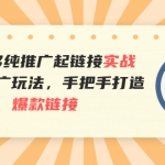 拼多多純推廣起鏈接實戰(zhàn)：多種推廣玩法，手把手打造爆款鏈接