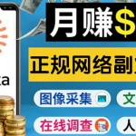 正規(guī)網(wǎng)絡(luò)副業(yè)賺錢平臺(tái)Toloka，利用業(yè)余時(shí)間月賺150美元
