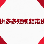 2022風(fēng)口紅利期-拼多多短視頻帶貨，適合新手小白的入門短視頻教程