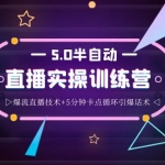 螞蟻·5.0半自動直播2345打法，半自動爆流直播技術(shù)+5分鐘卡點循環(huán)引爆話術(shù)