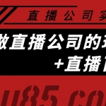 直播公司實戰(zhàn)特訓(xùn)：做直播公司的玩法大全+直播百科全書