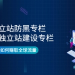 外貿(mào)獨立站防黑專欄+多語言獨立站建設專欄，手把手教你如何賺取全球流量
