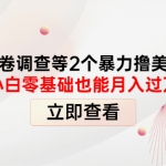 國外問卷調(diào)查等2個暴力擼美金項目，小白零基礎也能月入過萬