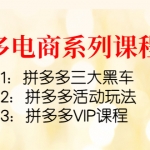 拼多多電商系列課程3套：拼多多三大黑車+拼多多活動玩法+拼多多VIP課程
