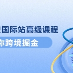 阿里巴巴國(guó)際站高級(jí)課程：帶你跨境掘金，選品+優(yōu)化+廣告+推廣