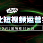 精細(xì)化短視頻運(yùn)營(yíng)實(shí)操課，從0到1做短視頻運(yùn)營(yíng)：算法篇+定位篇+內(nèi)容篇