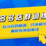 拼多多店群訓(xùn)練營：從小白到精通，只講精華，剔除推銷和廢話