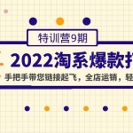 2022淘系爆款打造特訓(xùn)營(yíng)9期：手把手帶您鏈接起飛，全店運(yùn)銷(xiāo)，輕松出爆款