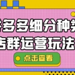 拼多多細(xì)分種類店群運(yùn)營(yíng)玩法3.0，11月最新玩法，小白也可以操作