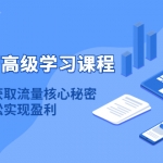 淘寶運(yùn)營(yíng)高級(jí)學(xué)習(xí)課程：快速獲取流量核心秘密，輕松實(shí)現(xiàn)盈利！