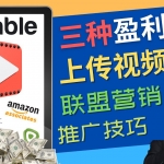 視頻分享平臺(tái)Rumble的三種賺錢(qián)模式 – 上傳視頻賺錢(qián) 聯(lián)盟營(yíng)銷(xiāo) 推廣技巧