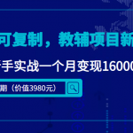 簡單可復(fù)制，教輔項目新玩法，新手實戰(zhàn)一個月變現(xiàn)16000+（第2期+課程+資料)