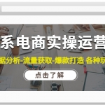 淘系電商實(shí)操運(yùn)營課：數(shù)據(jù)分析-流量獲取-爆款打造 各種玩法（63節(jié)）