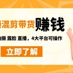 短視頻帶貨賺錢混剪特訓(xùn)營(yíng)：無需囤貨發(fā)貨 拍攝 露臉 直播，4大平臺(tái)可操作