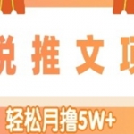 小說推文副業(yè)賺錢項目，另類進階玩法，輕松月擼5W+