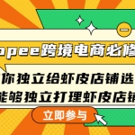 shopee跨境電商必修課：教你獨(dú)立給蝦皮店鋪選品，能夠獨(dú)立打理蝦皮店鋪