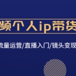 短視頻個(gè)人ip帶貨變現(xiàn)：爆款文案/流量運(yùn)營/直播入門/鏡頭變現(xiàn)/流量商業(yè)