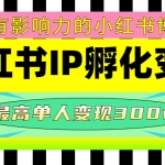 某收費培訓-小紅書IP孵化變現(xiàn)：做有影響力的小紅書博主，最高單人變現(xiàn)300w+