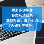 拼多多訓(xùn)練營(yíng)：各玩法合集，爆款打造，低價(jià)引流，7天破千單等等！