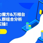 達(dá)摩盤(pán)引力魔方&萬(wàn)相臺(tái)投放課：人群組合分析，高效投放實(shí)操！