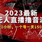 2023最新抖音無人直播擼音浪項目，0粉絲每天1小時，一個號一天1500-2000元
