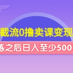 抖音截流0擼賣課變現(xiàn)項目：這個玩法熟練之后日入至少500以上