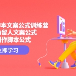 短視頻帶貨腳本文案公式訓(xùn)練營：18個(gè)開場(chǎng)留人文案公式，18個(gè)創(chuàng)作腳本公式