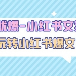 一寫就爆-小紅書文案課：帶你玩轉(zhuǎn)小紅收爆文寫作（45節(jié)課）
