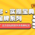 拼多多·實(shí)操寶典：金牌系列“小白到高手”帶你全方位玩轉(zhuǎn)拼多多各種玩法