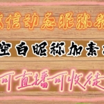 微信動態(tài)昵稱設(shè)置方法，可抖音直播引流，日賺上百【詳細(xì)視頻教程+素材】