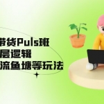 視頻號(hào)·帶貨Puls班，視頻號(hào)底層邏輯，起號(hào)自然流魚塘等玩法