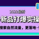 拼多多-新品打爆實(shí)操流程：輕松快速拉搜索自然流量，更落地·快速提升!