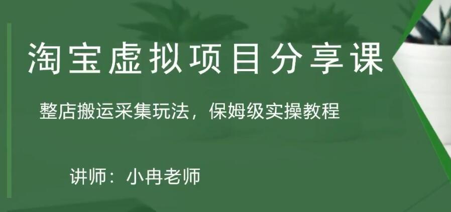淘寶虛擬整店搬運采集玩法分享課：整店搬運采集玩法，保姆級實操教程