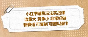 小紅書鋪貨玩法實戰(zhàn)課，流量大 競爭小 非常好做 新賽道 可復(fù)制 可團隊操作