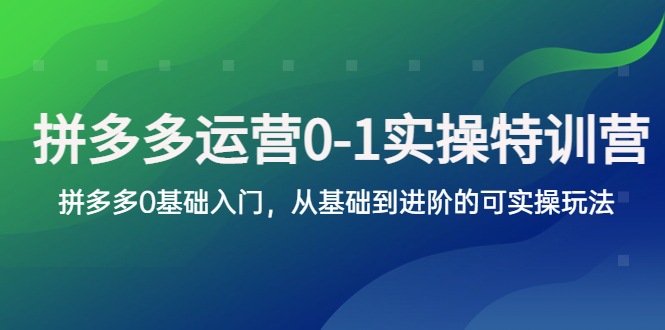 拼多多-運營0-1實操訓練營，拼多多0基礎入門，從基礎到進階的可實操玩法