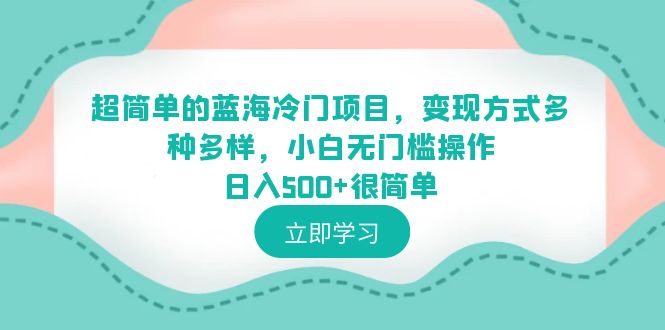 超簡單的藍(lán)海冷門項目，變現(xiàn)方式多種多樣，小白無門檻操作日入500+很簡單