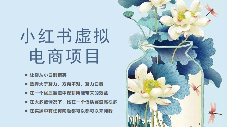 小紅書虛擬電商從0到1，讓你從小白到精英（20節(jié)實操課程）