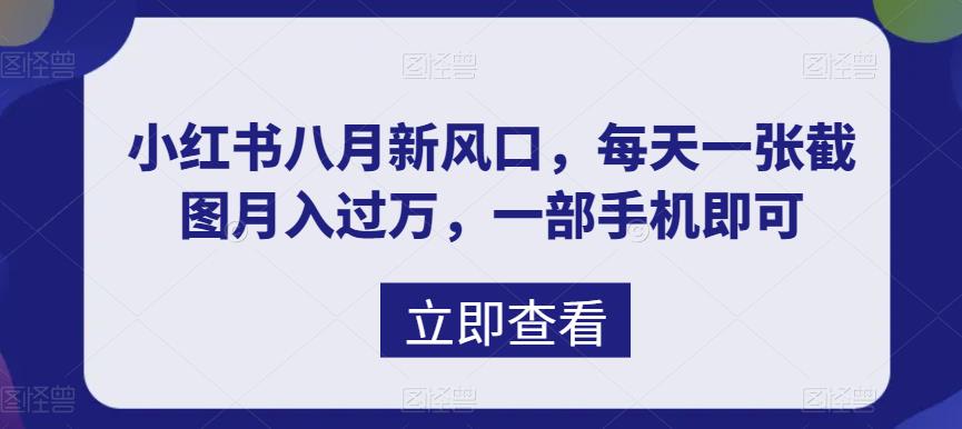 八月新風(fēng)口，小紅書虛擬項(xiàng)目一天收入1000+，實(shí)戰(zhàn)揭秘