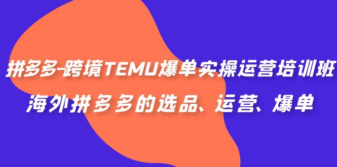 拼多多-跨境TEMU爆單實(shí)操運(yùn)營(yíng)培訓(xùn)班，海外拼多多的選品、運(yùn)營(yíng)、爆單