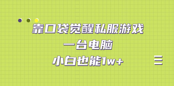 靠口袋覺(jué)醒私服游戲，一臺(tái)電腦，小白也能1w+（教程+工具+資料）