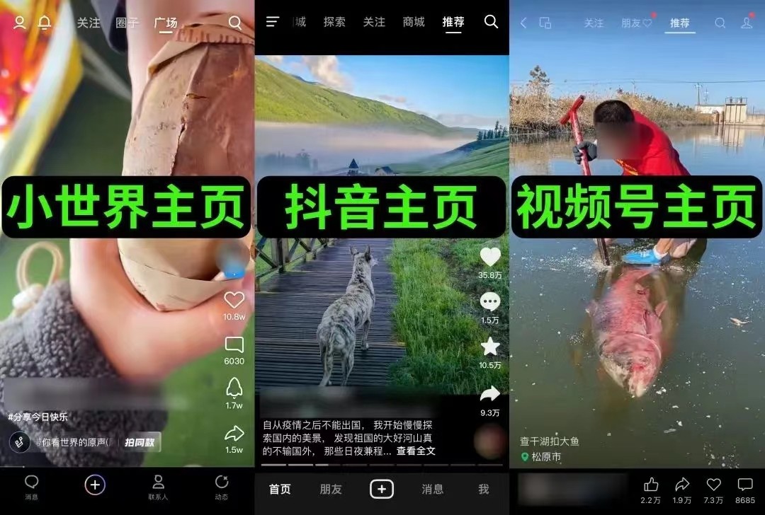 QQ小世界短視頻項目，操作簡單，人人都能操作1010 作者:福緣資源庫 帖子ID:102358 