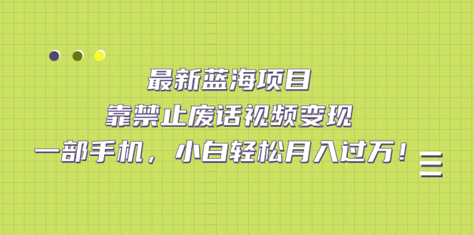 最新藍(lán)海項目，靠禁止廢話視頻變現(xiàn)，一部手機(jī)，小白輕松月入過萬！
