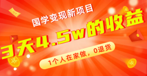 全新藍海，國學(xué)變現(xiàn)新項目，1個人在家做，0退貨，3天4.5w收益【178G資料】