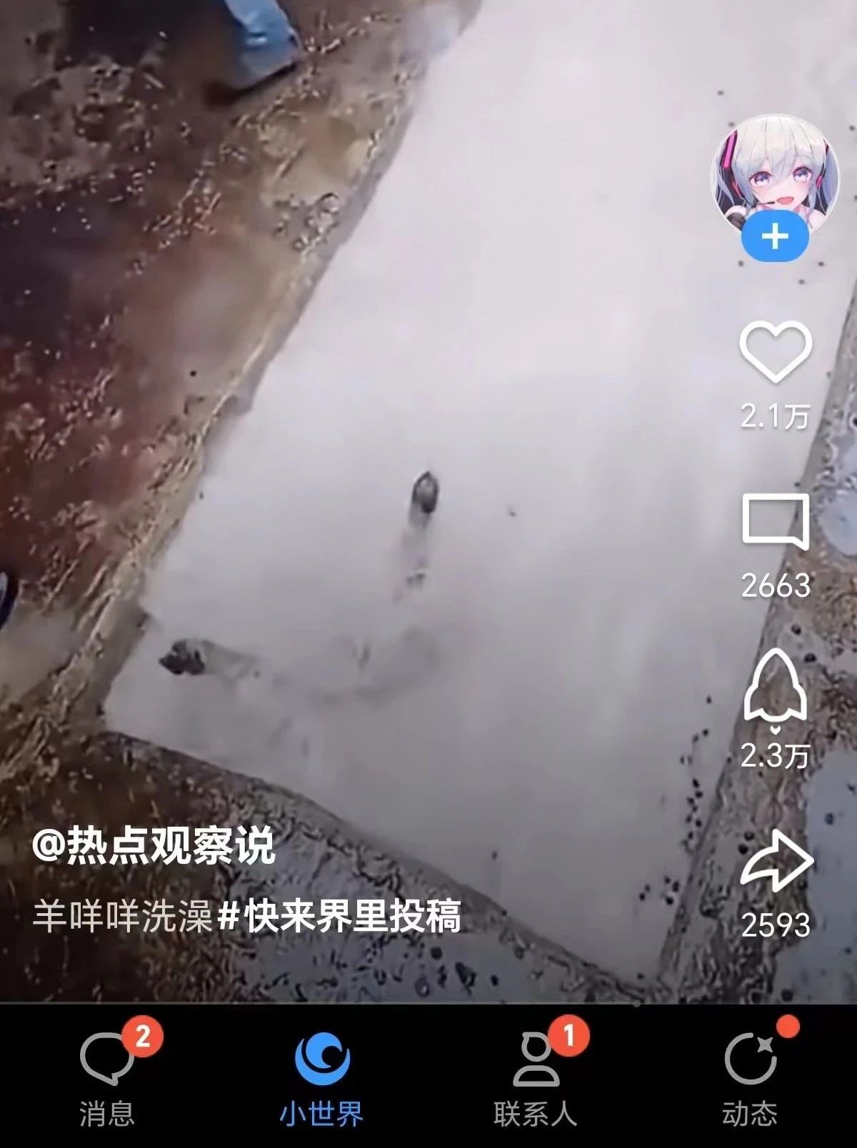 QQ小世界短視頻項(xiàng)目：無腦搬運(yùn)，萬播放20-50元，單號單日300 ，很多人還不知道怎么...3683 作者:福緣資源庫 帖子ID:103397 