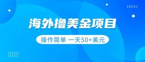 擼美金項(xiàng)目 無門檻  操作簡單 小白一天50+美刀