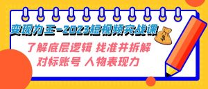 變現(xiàn)·為王-2023短視頻實(shí)戰(zhàn)課 了解底層邏輯 找準(zhǔn)并拆解對(duì)標(biāo)賬號(hào) 人物表現(xiàn)力