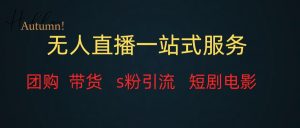 無人直播全套服務(wù)，變現(xiàn)穩(wěn)定