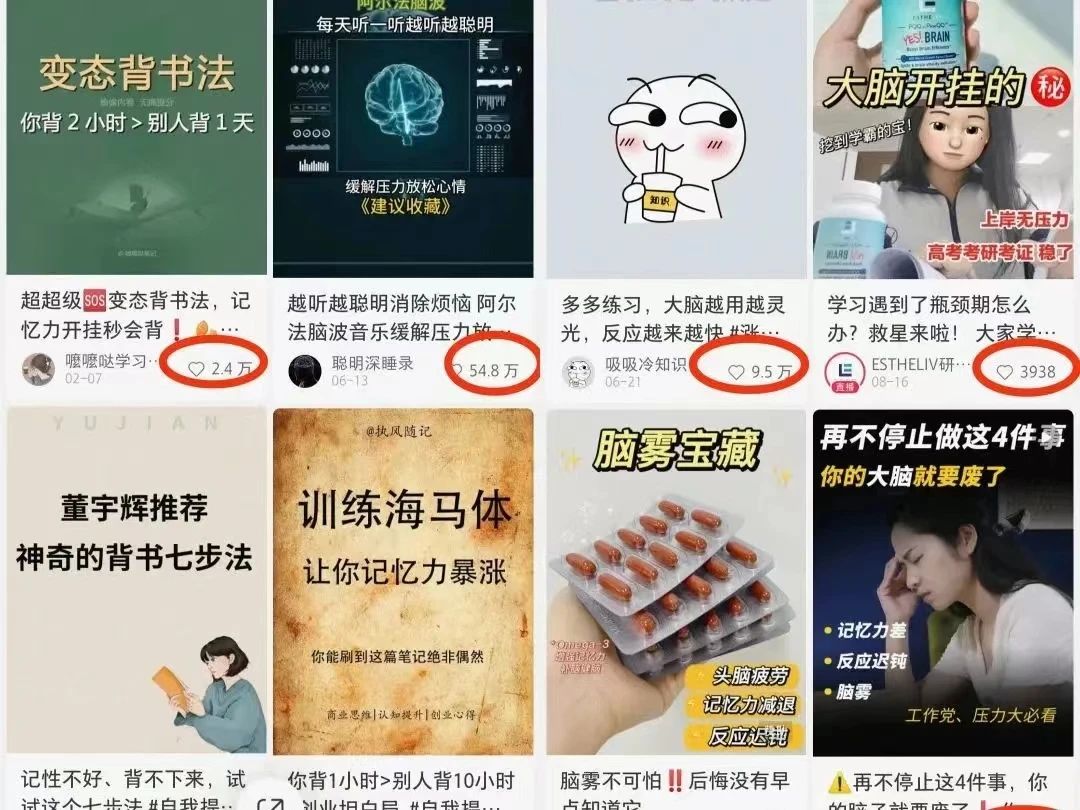 提升記憶力項目，操作簡單，一單利潤19.92910 作者:福緣資源庫 帖子ID:103716 
