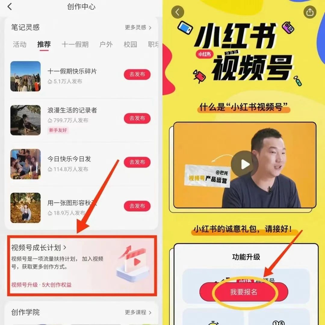 提升記憶力項目，操作簡單，一單利潤19.95402 作者:福緣資源庫 帖子ID:103716 