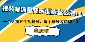 視頻號流量變現(xiàn)訓(xùn)練營公測1.0：一個(gè)人搞五個(gè)視頻號，每個(gè)賬號收益30-50